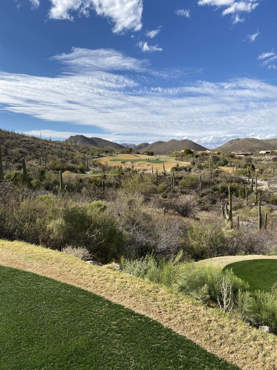 (Photo submitted by u314159837659 on 02/12/2021)