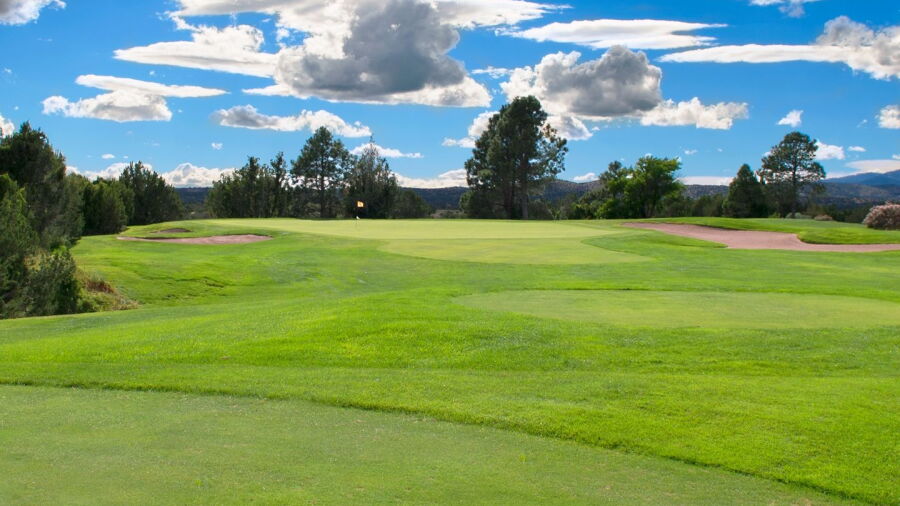 Cochiti GC: #11