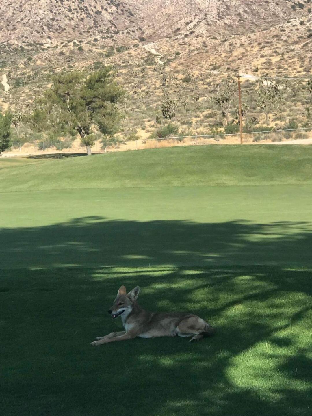 (Photo submitted by u314163427804 on 07/11/2023)