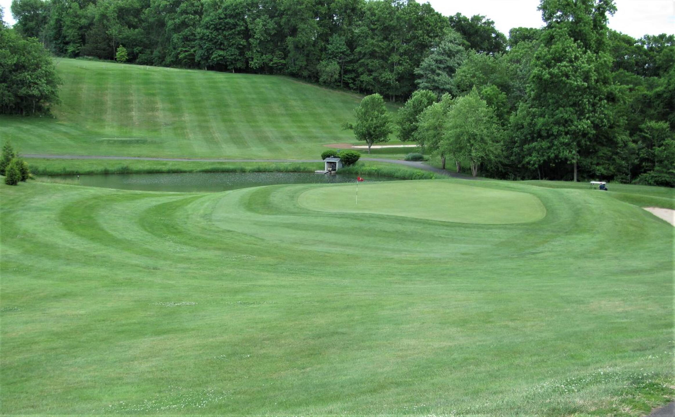 Seven: Great 3-par with bold, rolling green contours. It plays downhill; water is behind. (Photo submitted by AptlyLinked on 06/10/2020)