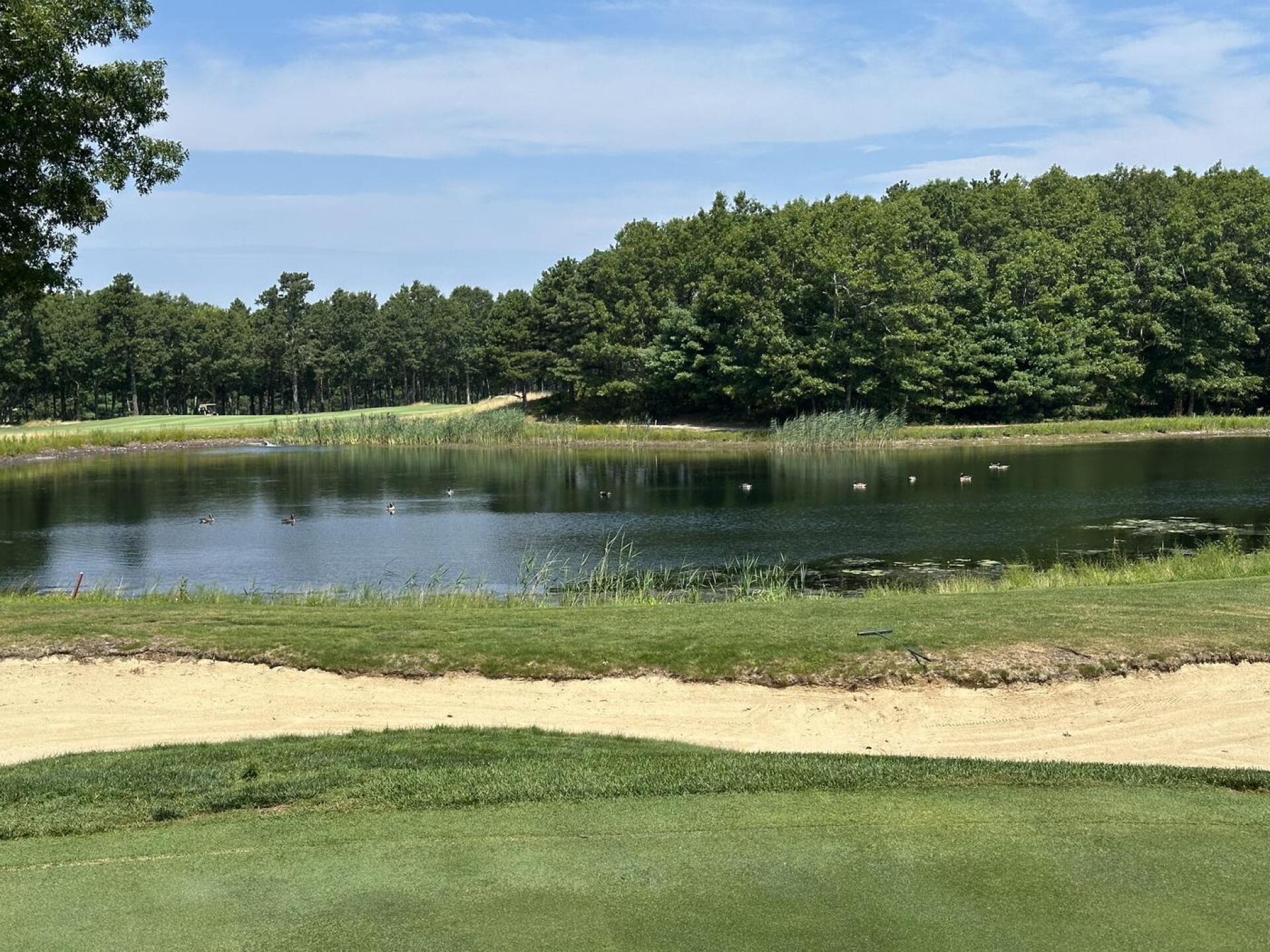 (Photo submitted by chatemjr on 07/26/2025)