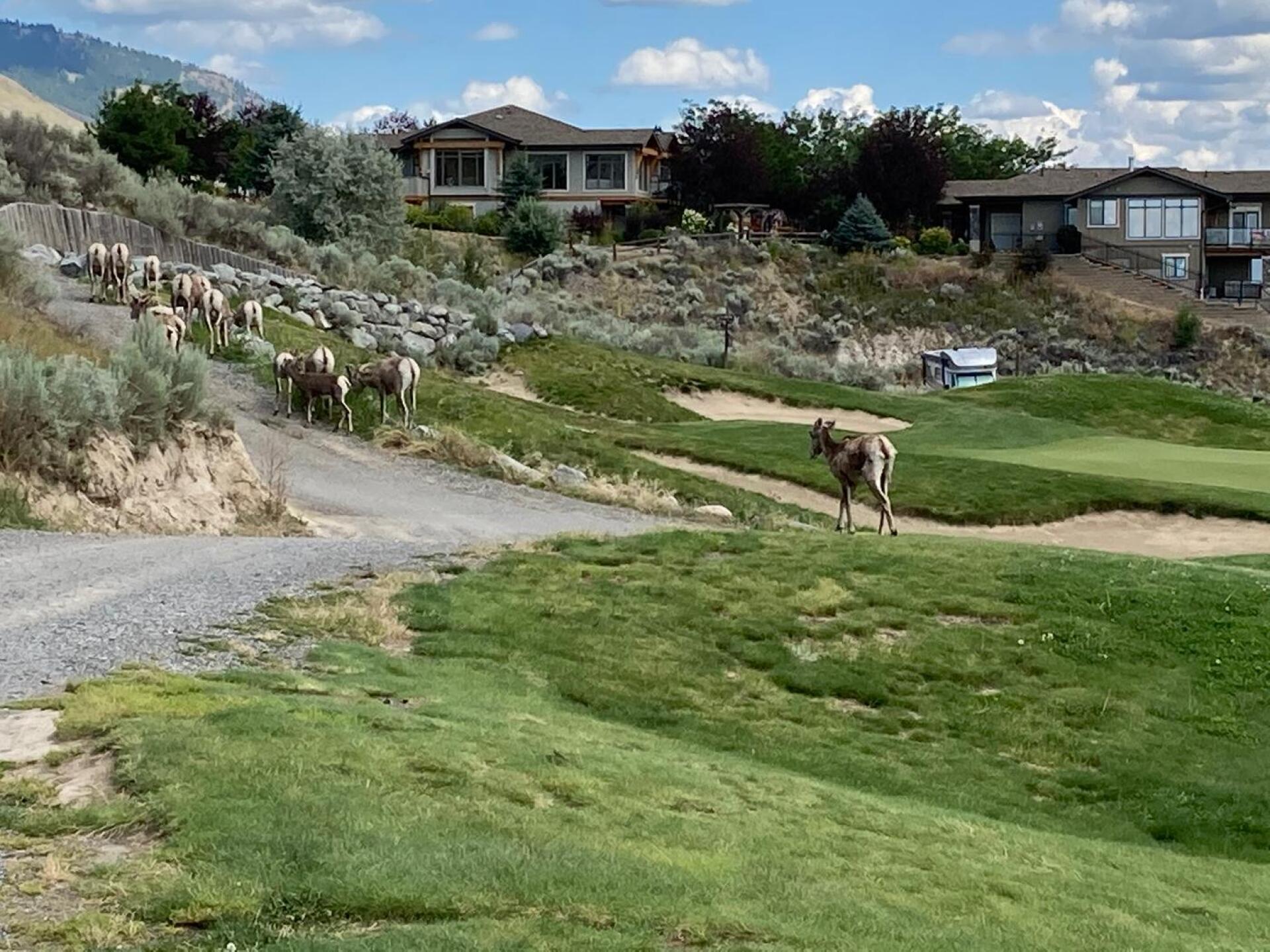 (Photo submitted by u3964243 on 08/03/2020)