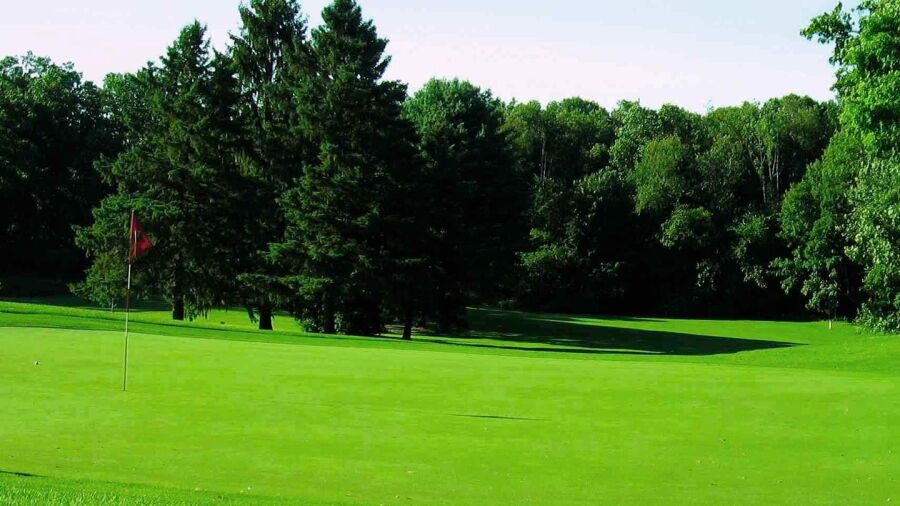 Indian Springs GC: #6