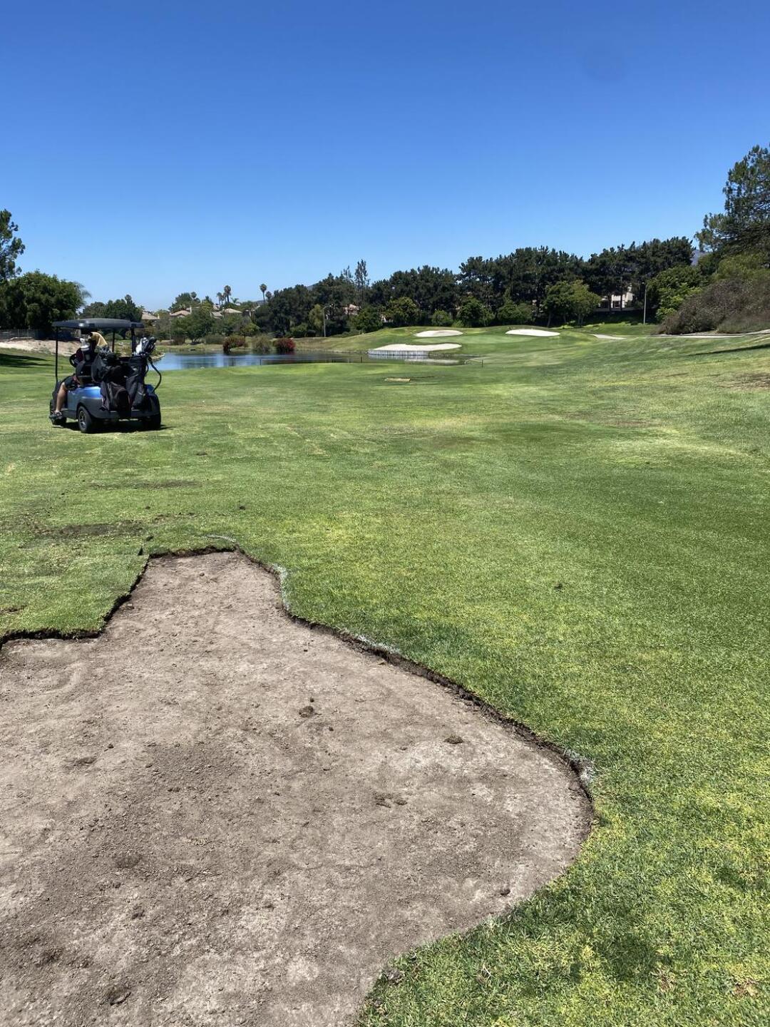 (Photo submitted by ChipPuttman on 08/02/2025)