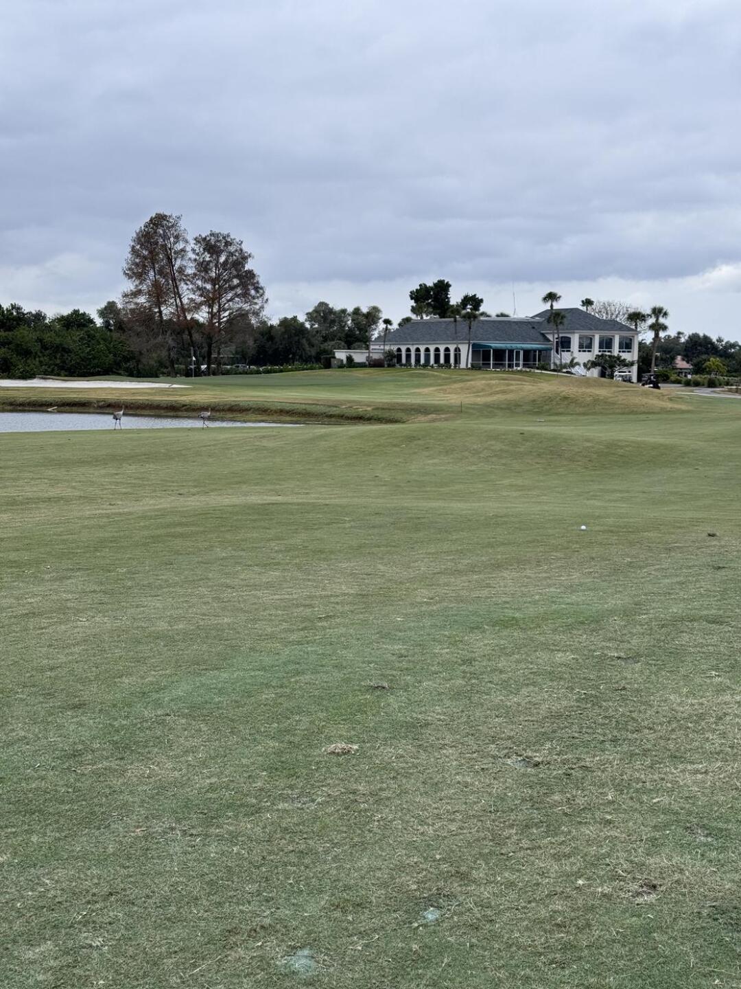 (Photo submitted by u314164264750 on 01/31/2026)