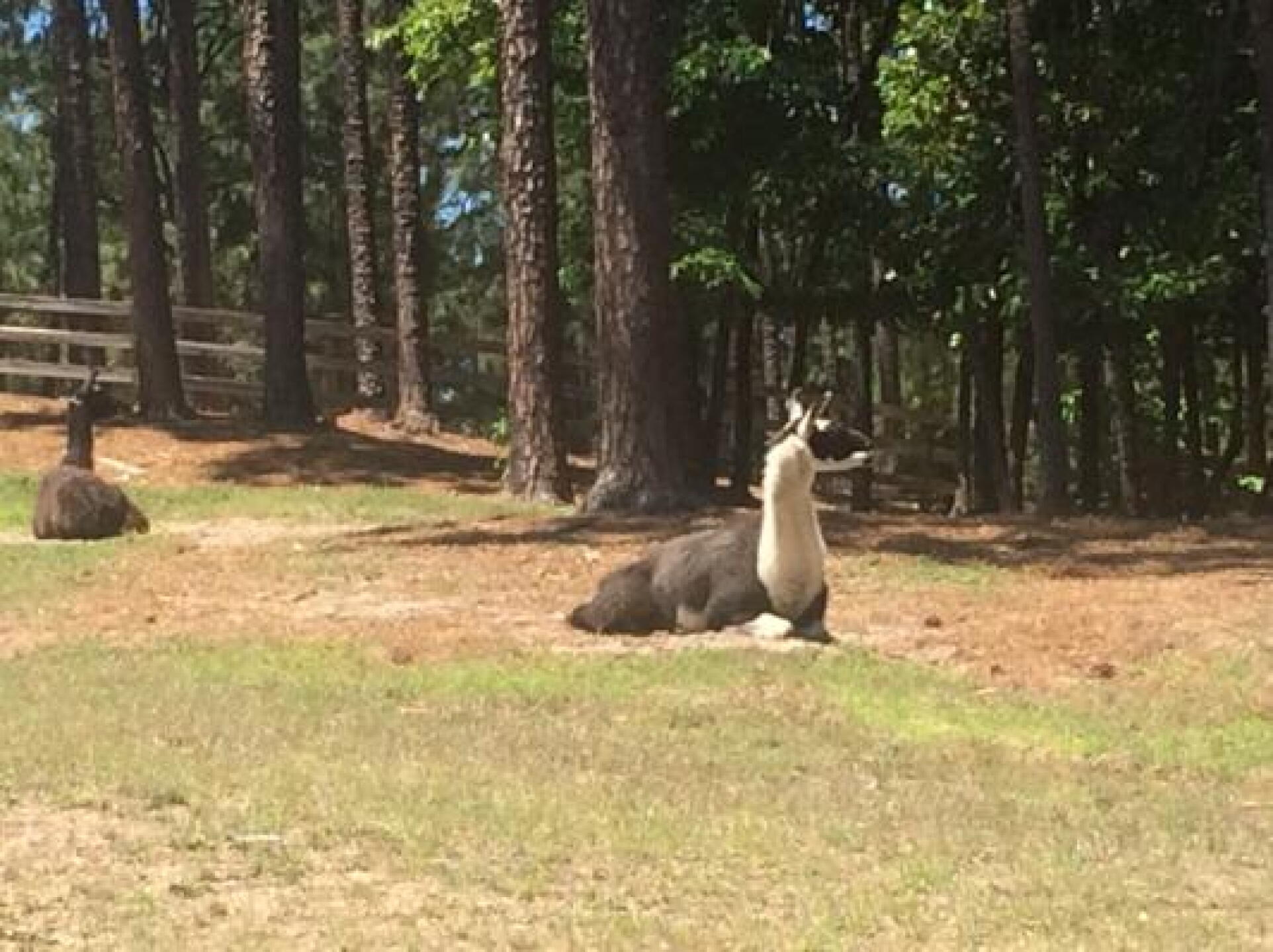 (Photo submitted by Sadiegolf on 05/26/2014)