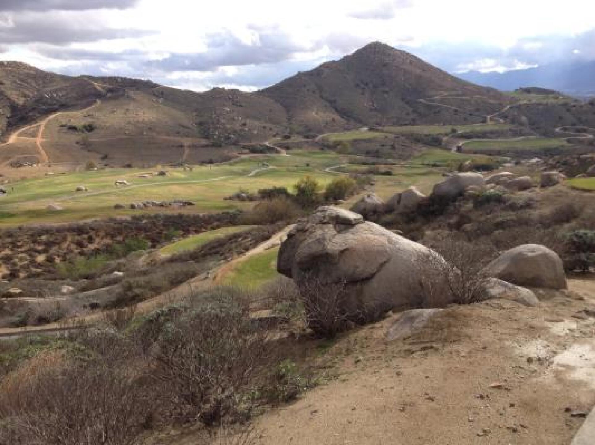 (Photo submitted by oowweelee on 01/08/2013)