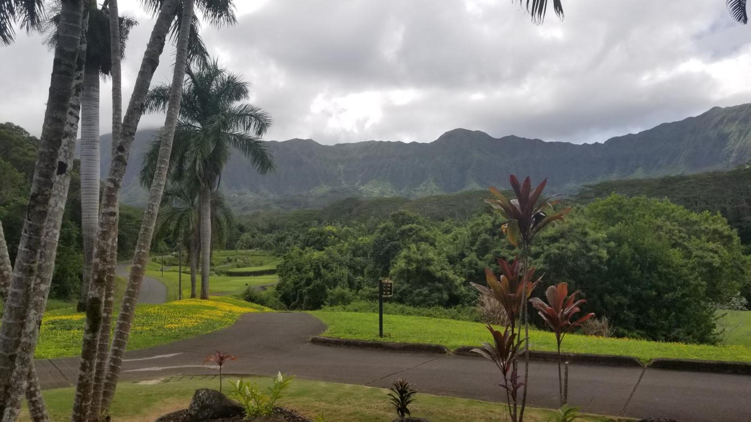 (Photo submitted by LionIrons1001 on 10/02/2021)