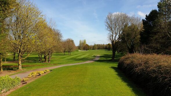 Black Bush GC