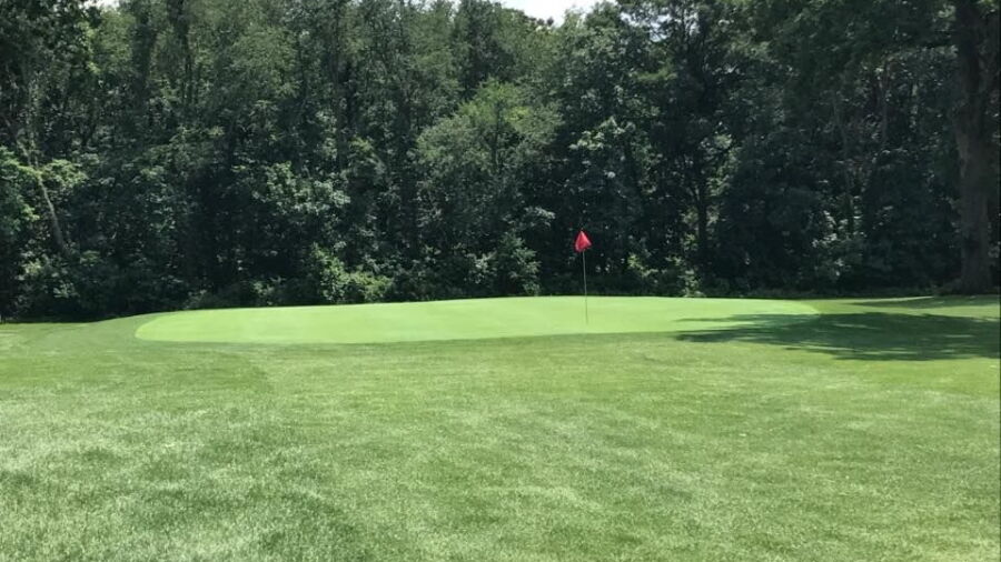 Hamlet GC: #7