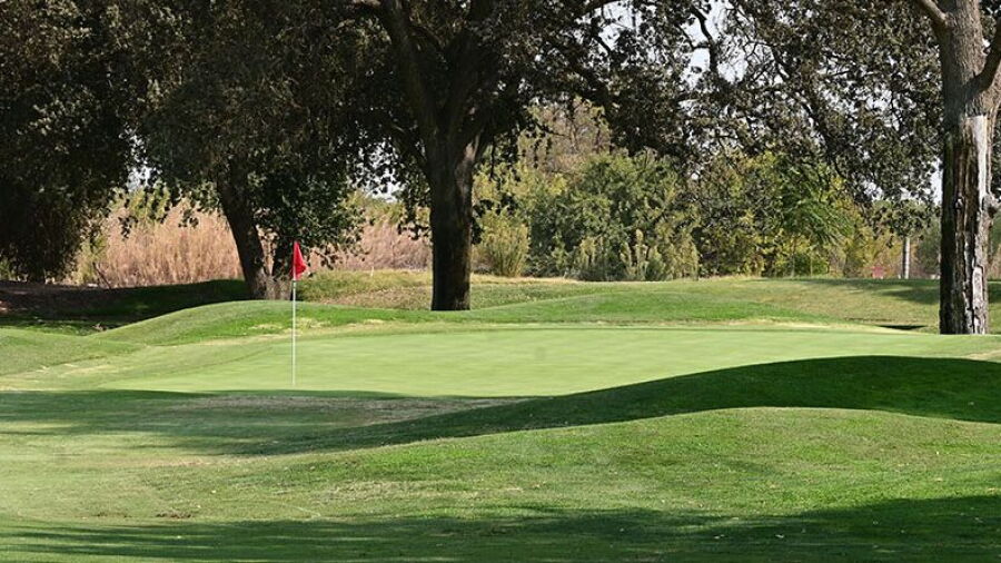 Kings CC: #1