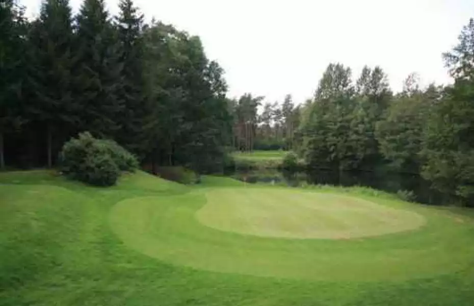 British Army GC Sennelager - Forest Pine: #12