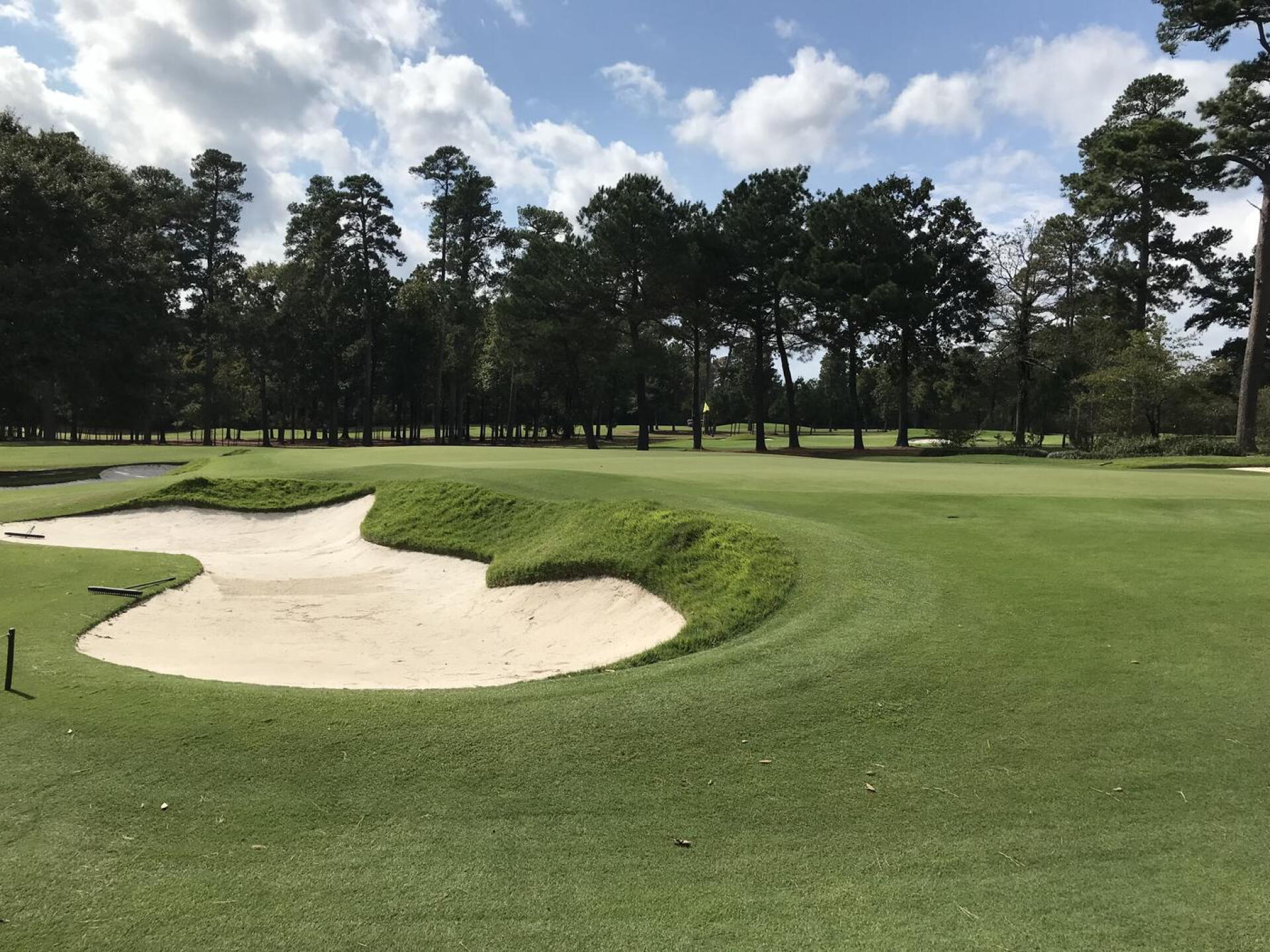 (Photo submitted by MikeBaileyGolf on 12/18/2021)