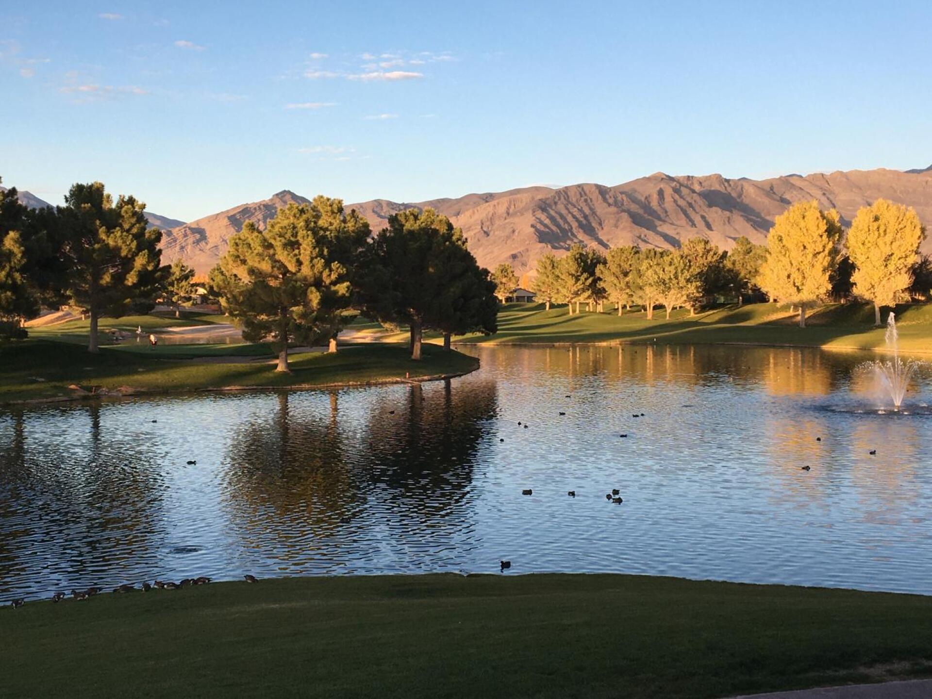 (Photo submitted by u5353430 on 11/06/2019)