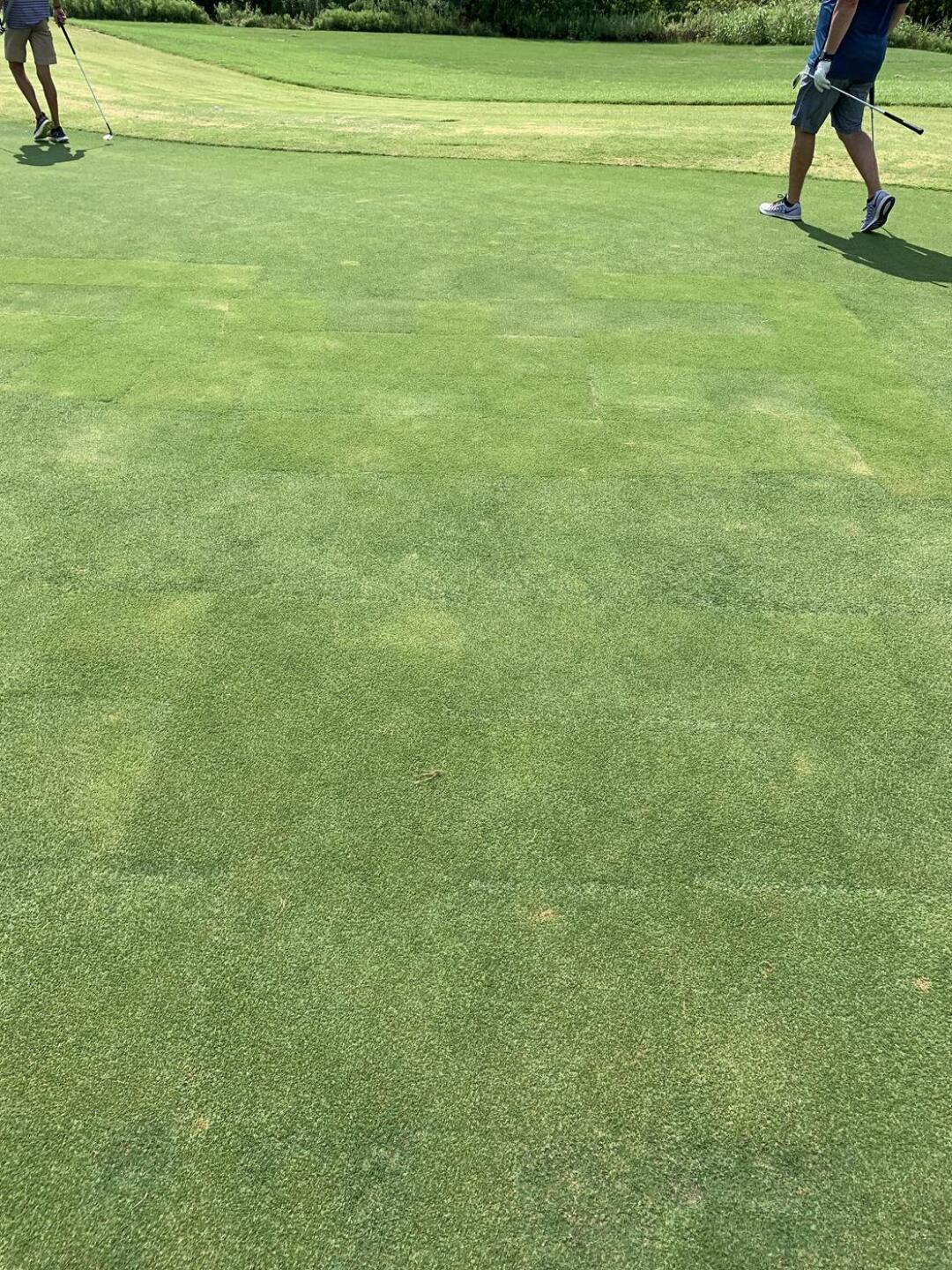 (Photo submitted by u314161670018 on 07/07/2021)