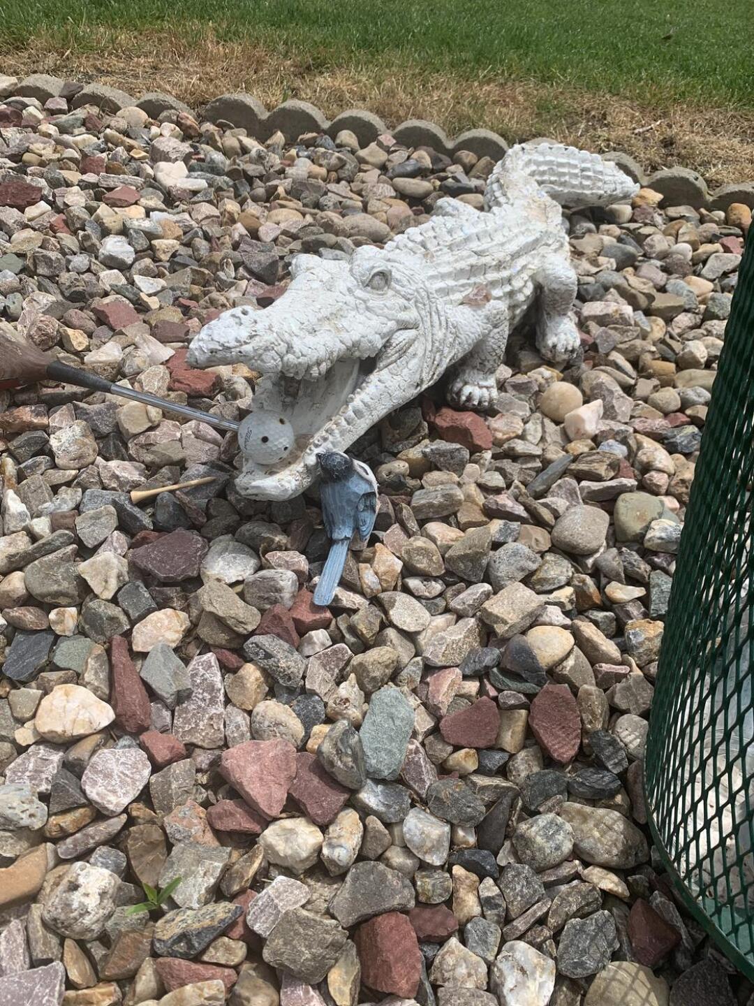 (Photo submitted by u314161616888 on 05/28/2023)