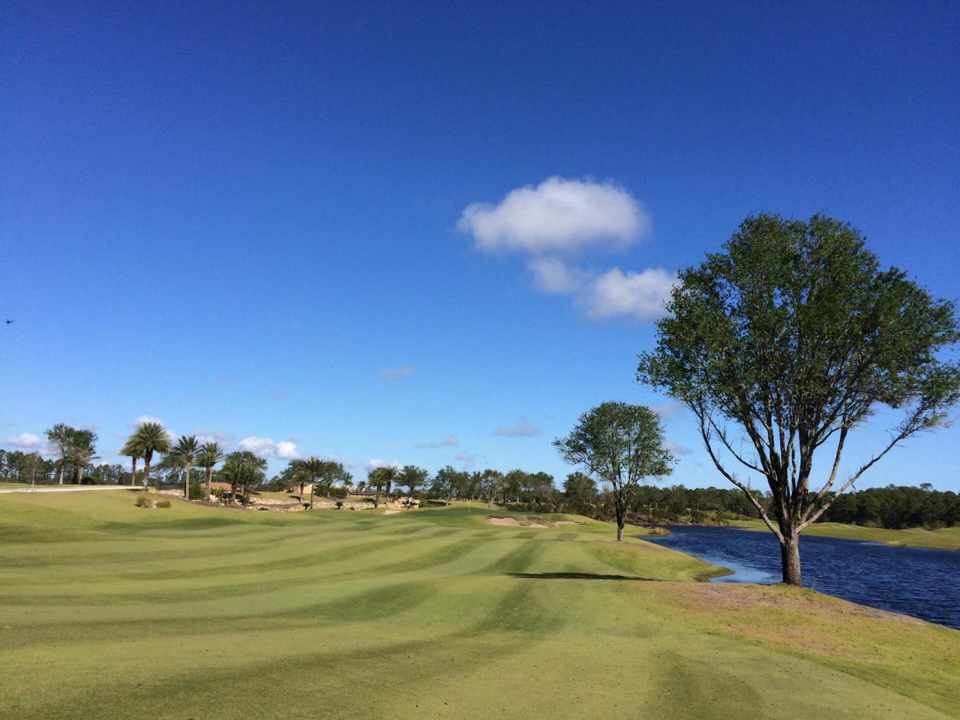 (Photo submitted by MikeBaileyGolf on 11/05/2017)