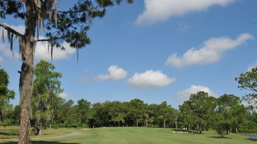 Pebble Creek GC: 14th fairway