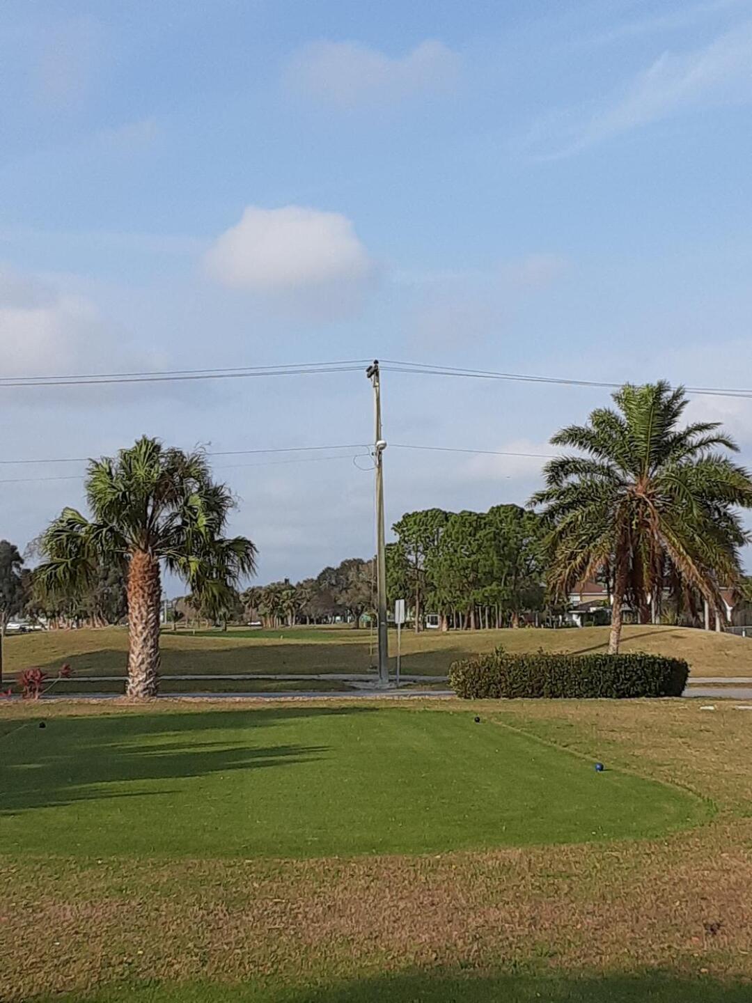 (Photo submitted by Baldybrown2 on 02/06/2020)