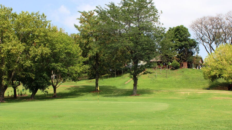 Creek 9 GC