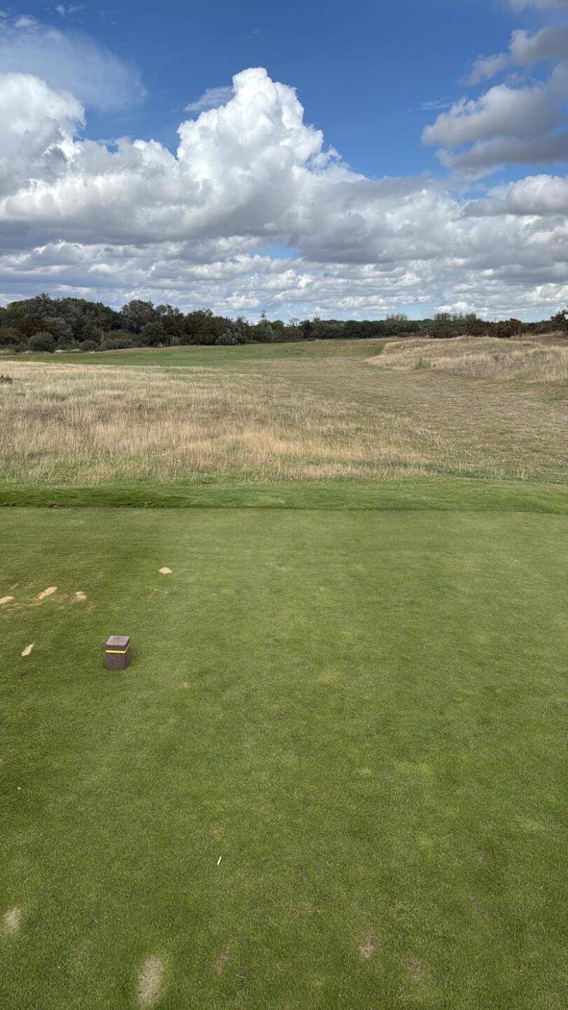 (Photo submitted by null on 08/29/2025)