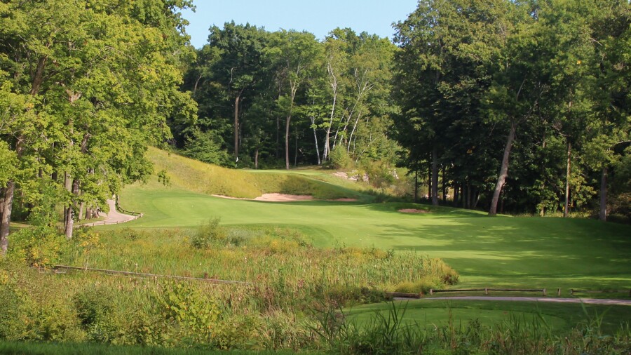 Bull at Pinehurst Farms golf course - hole 7