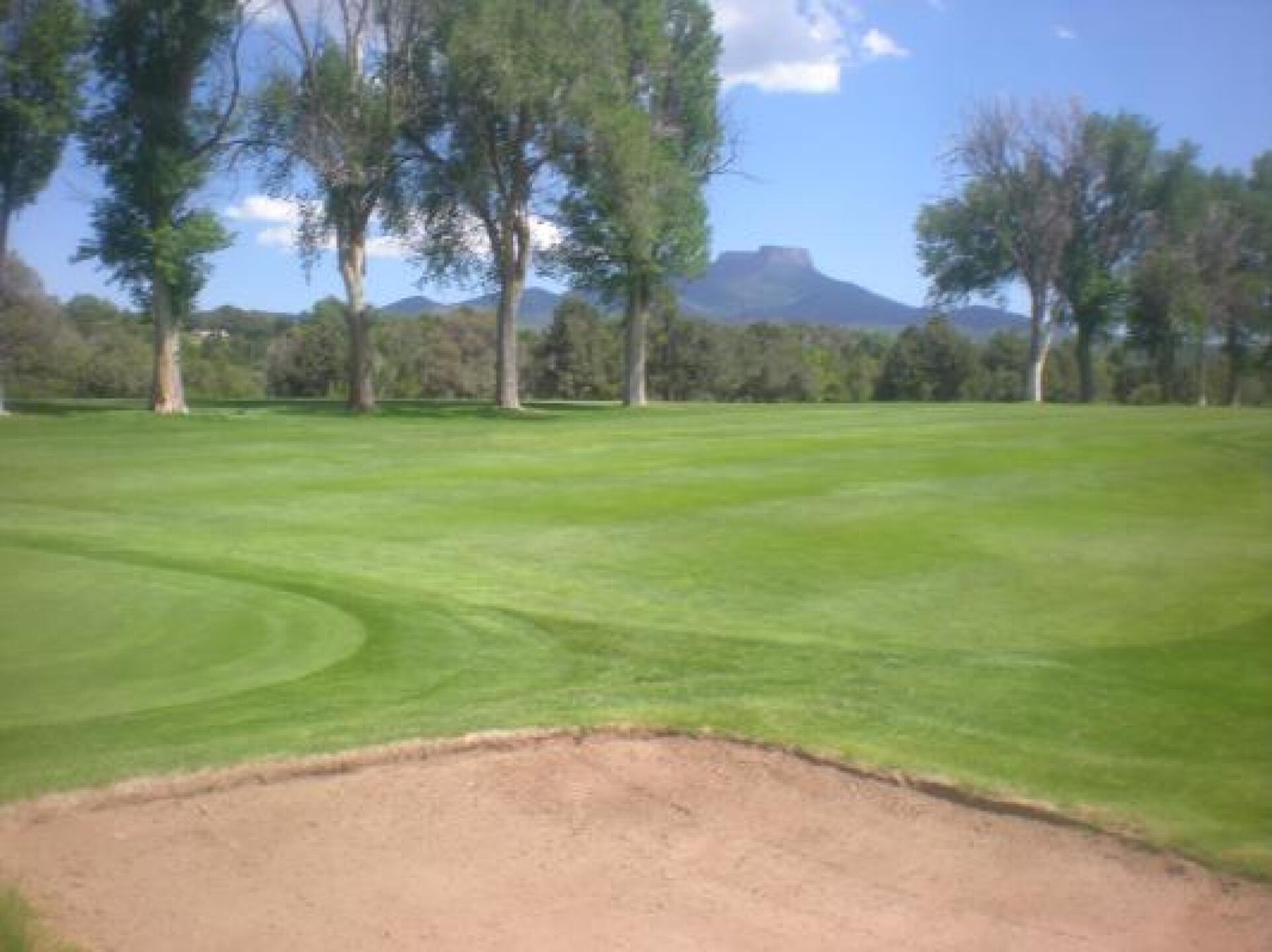 View of Fisher's Peak in the background. (Photo submitted by DavidRHollandGA on 06/15/2014)