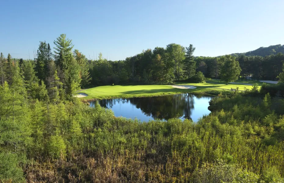 Heather at Boyne Highlands Resort: #6