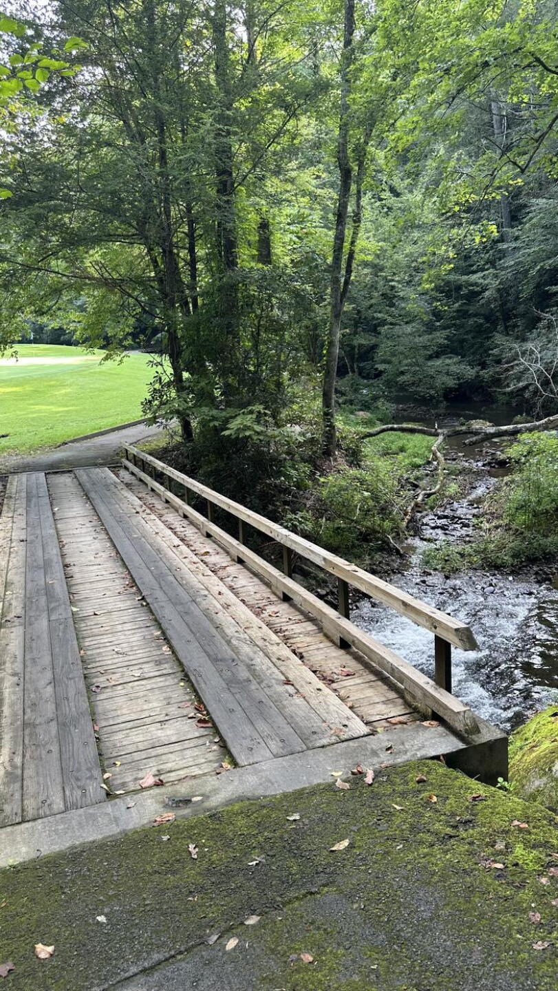 (Photo submitted by cc21golf on 08/09/2026)