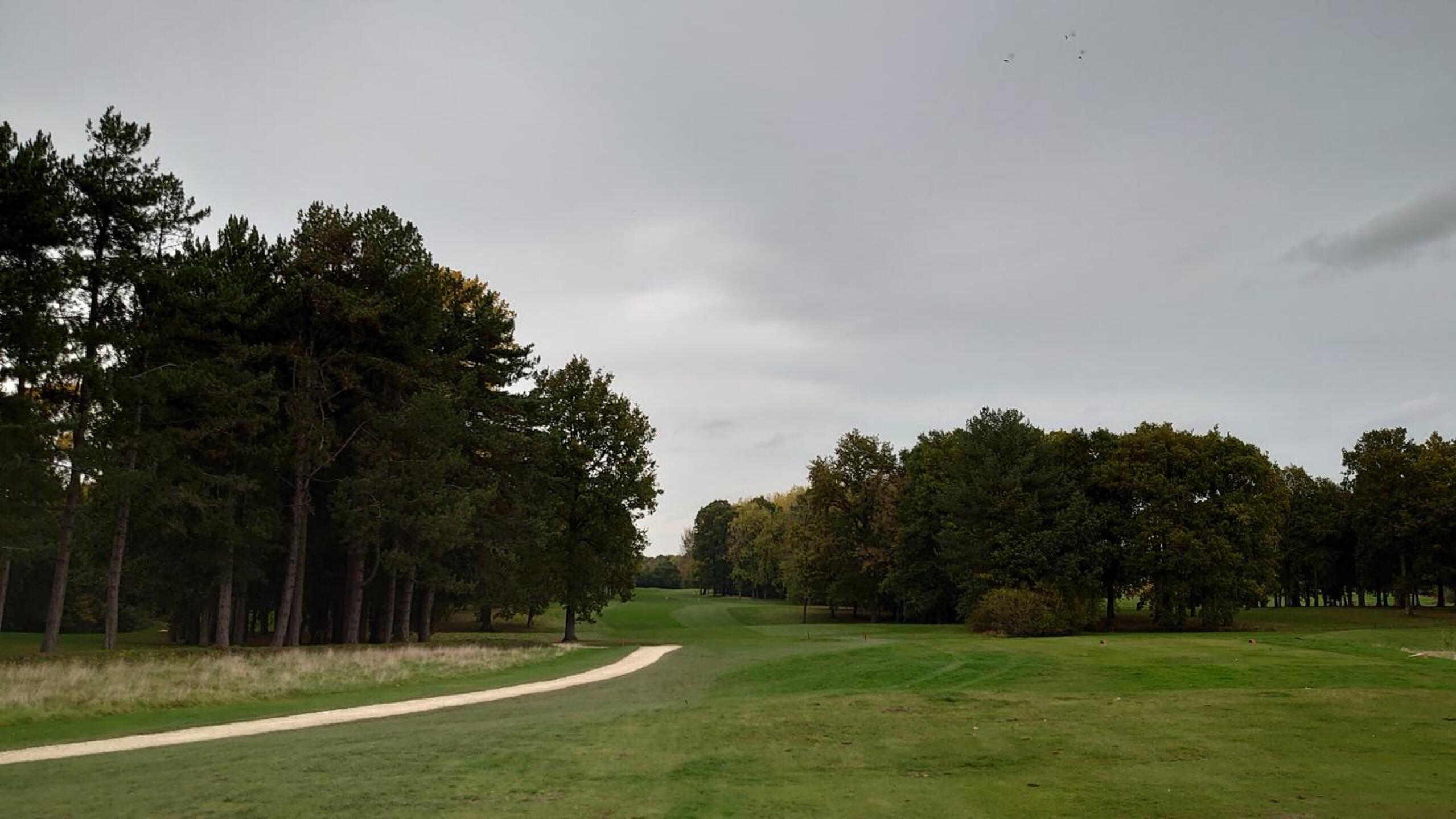 (Photo submitted by Rgarratt on 10/20/2020)