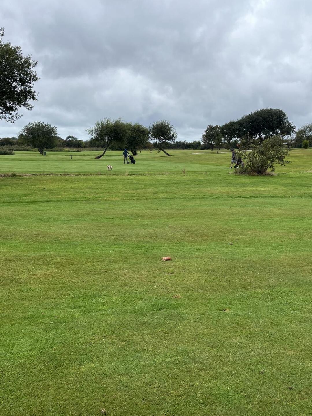 (Photo submitted by u314160815531 on 09/16/2025)