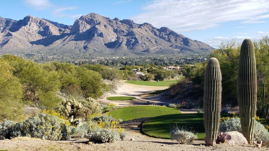 El Conquistador Golf & Tennis - Canada Course - views