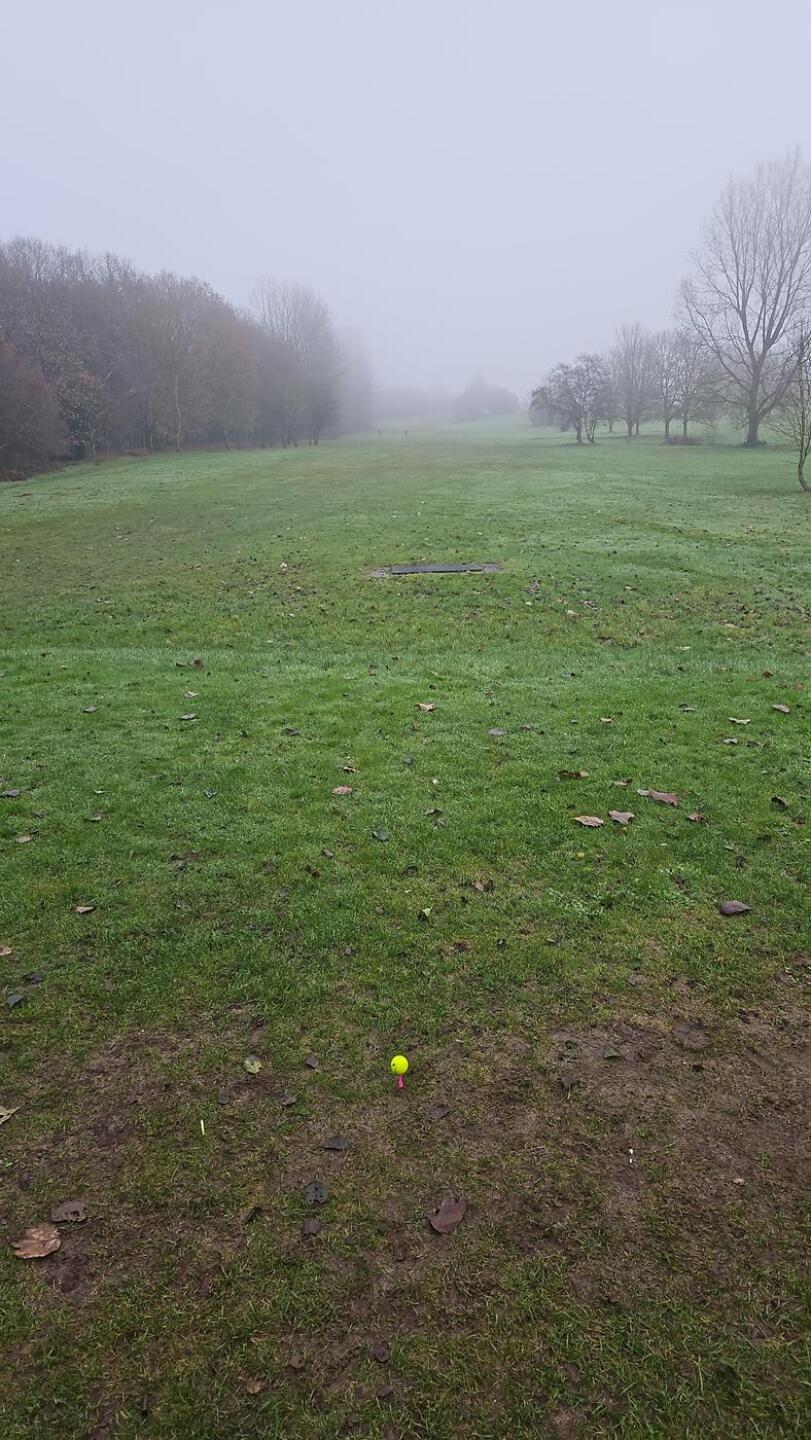 (Photo submitted by ljMSymN6yiHlOmFoXx1I on 12/05/2024)