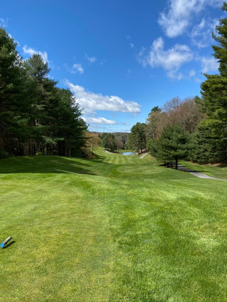 Old Beau - mountain views 