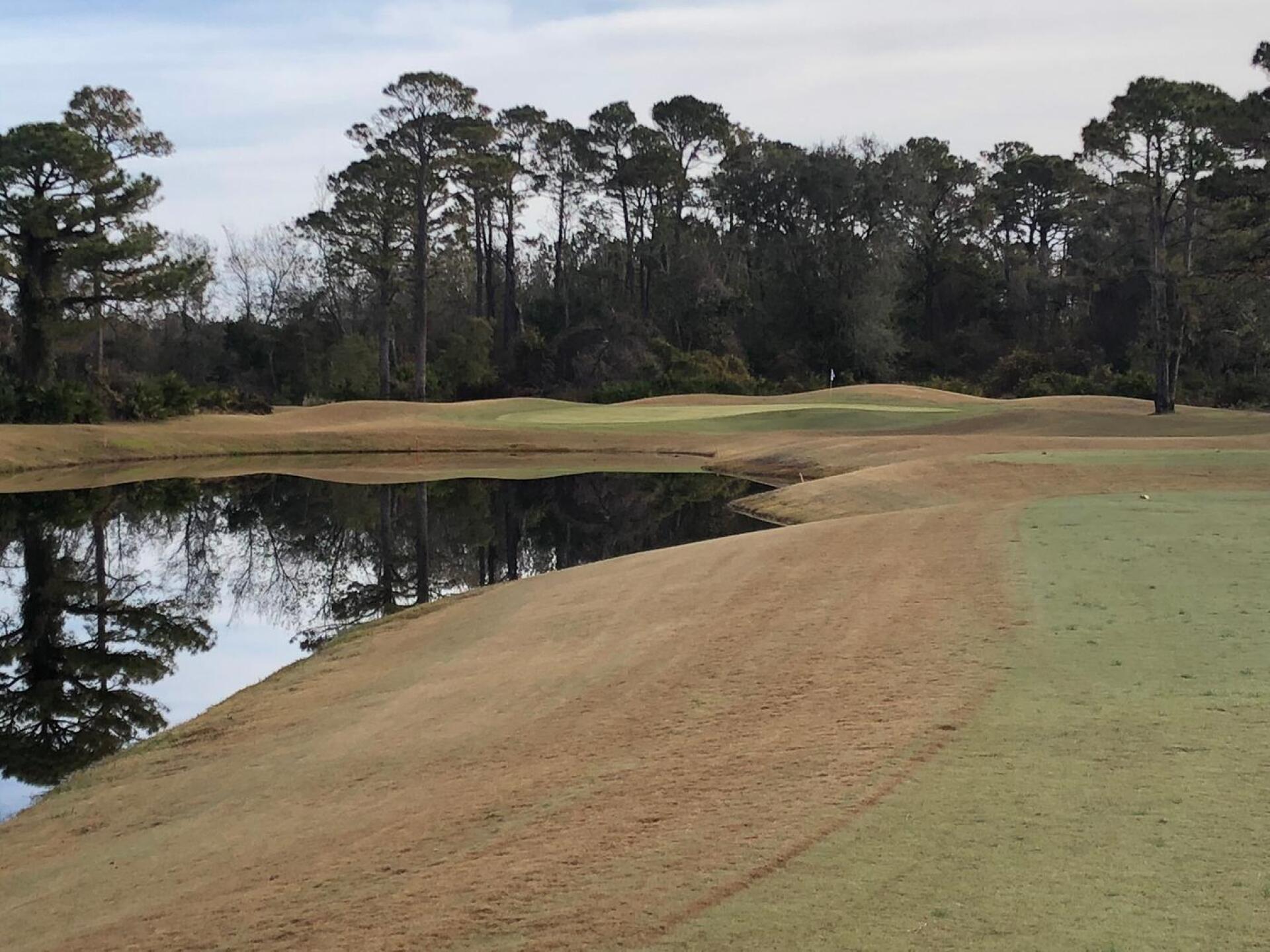 Par 3 (Photo submitted by u291767851 on 01/09/2018)