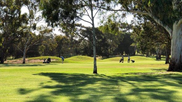 Murray Bridge GC