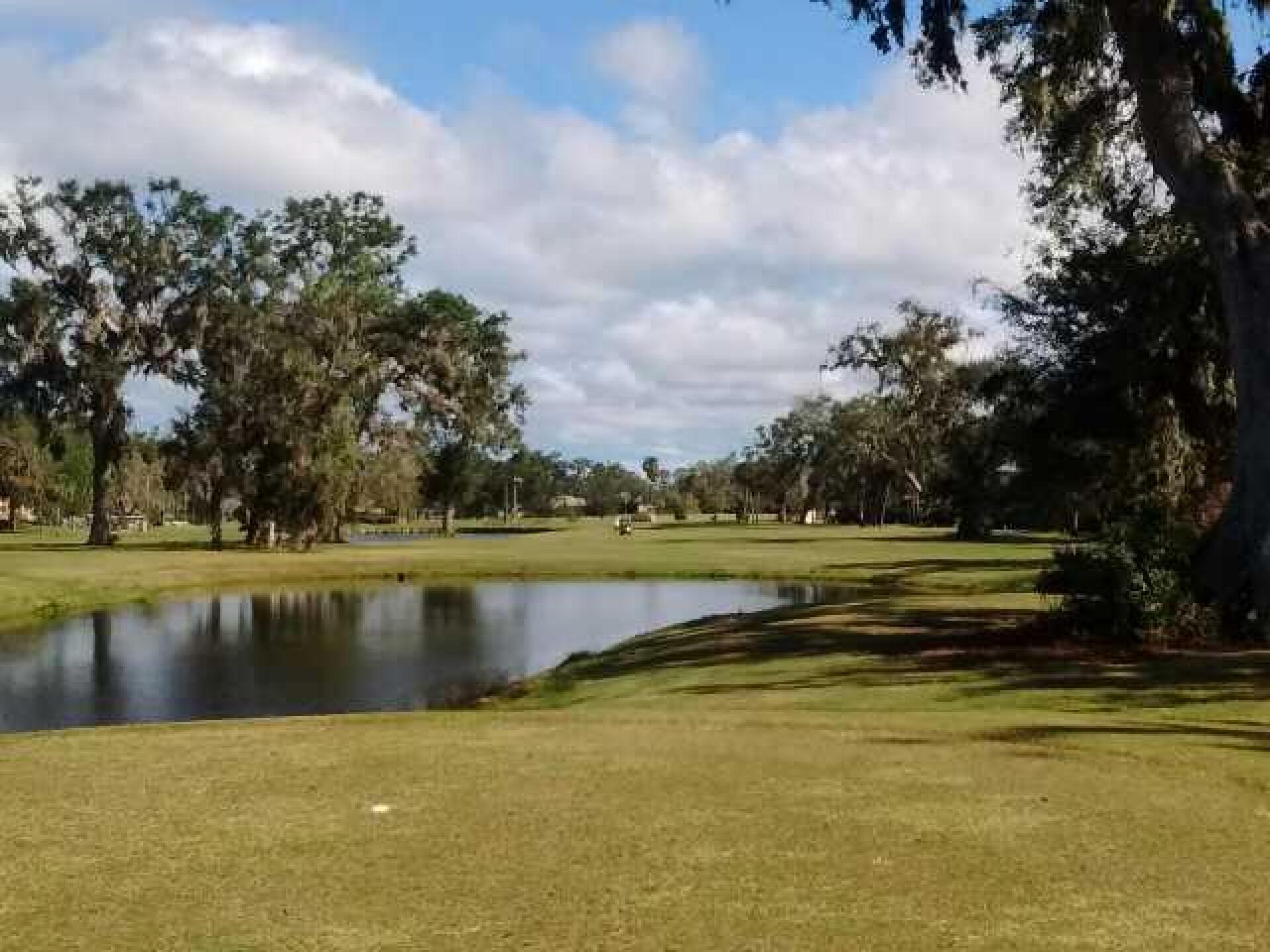 (Photo submitted by extennisnowgolfer on 11/24/2017)