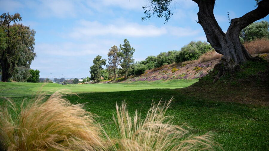 Shorecliffs GC