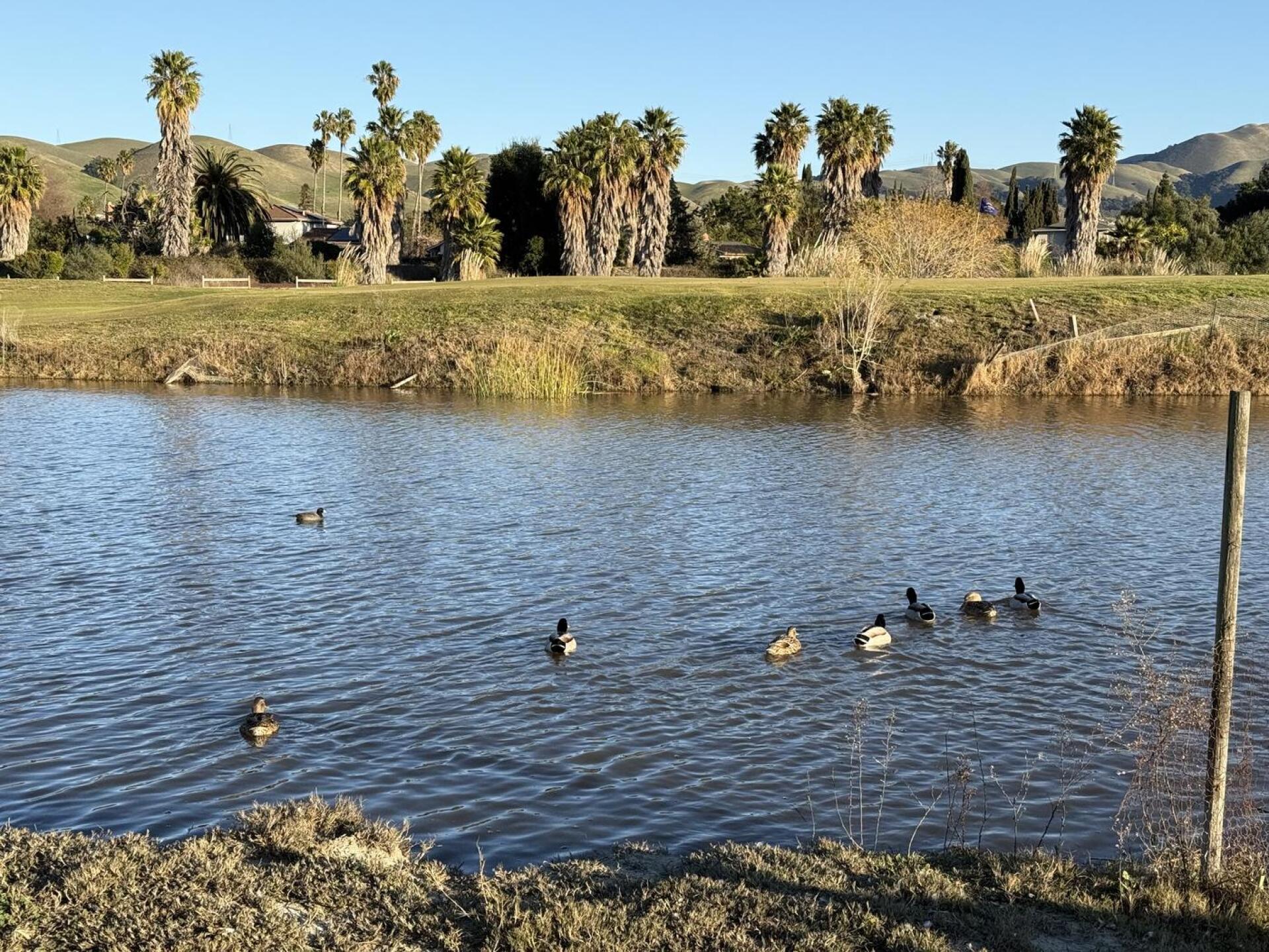 (Photo submitted by Bijan92 on 01/13/2025)