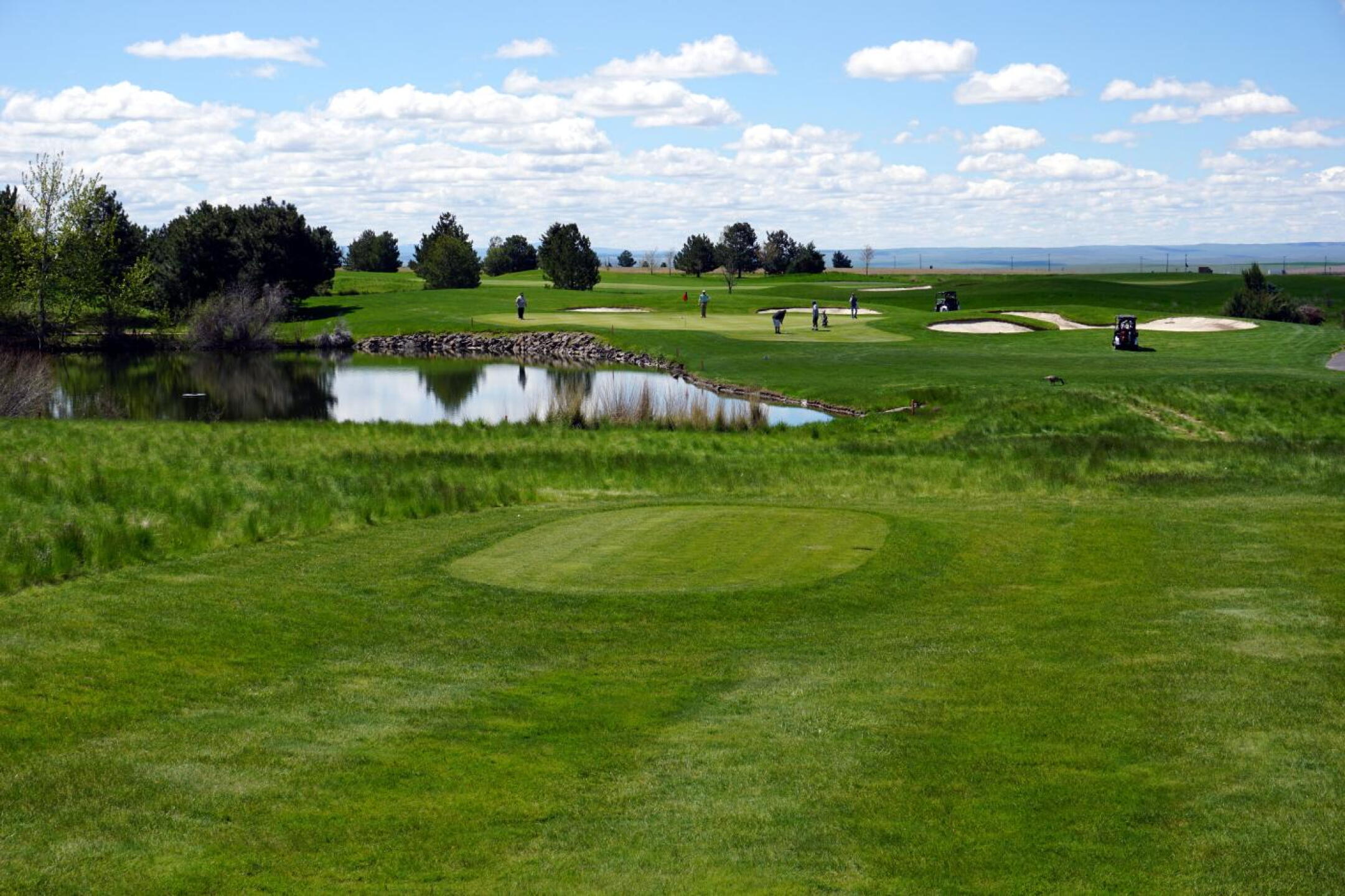 Wildhorse Resort GC, Hole 8, Par 3, 167 yds (Photo submitted by DYakimec on 05/06/2019)