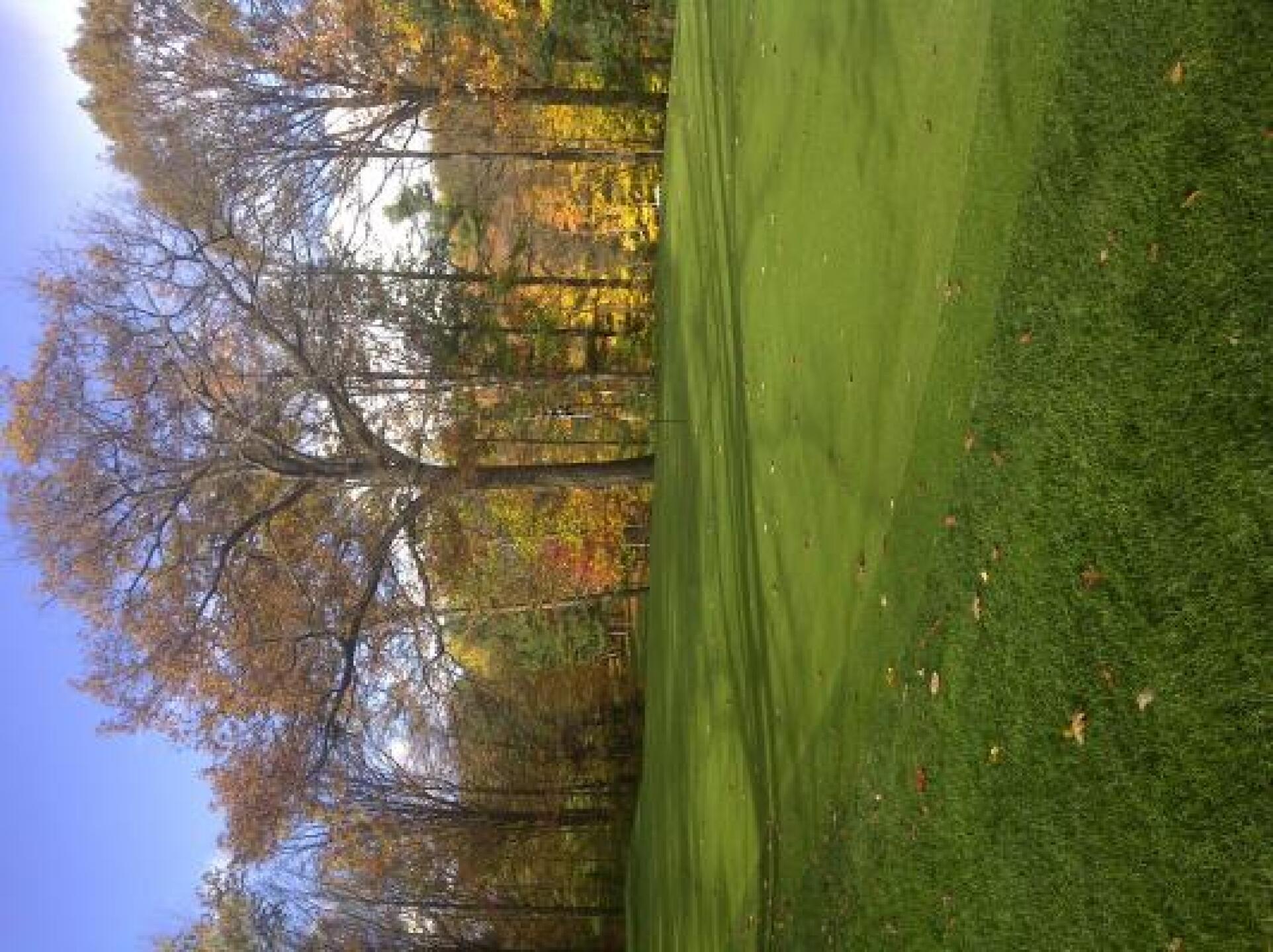 Gorgeous this time of year (Photo submitted by siguy72 on 10/24/2013)