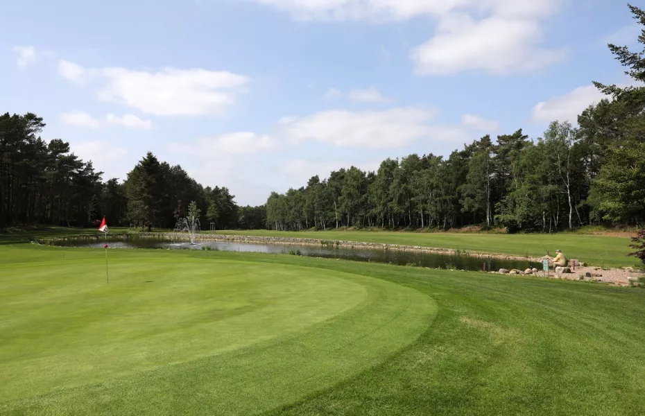 Wildeshauser Geest GC: #4