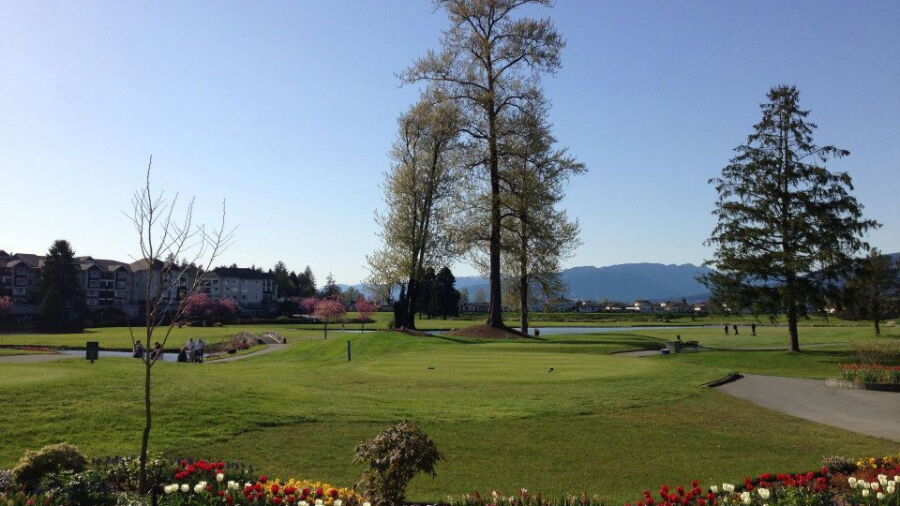 Meadow Gardens GC