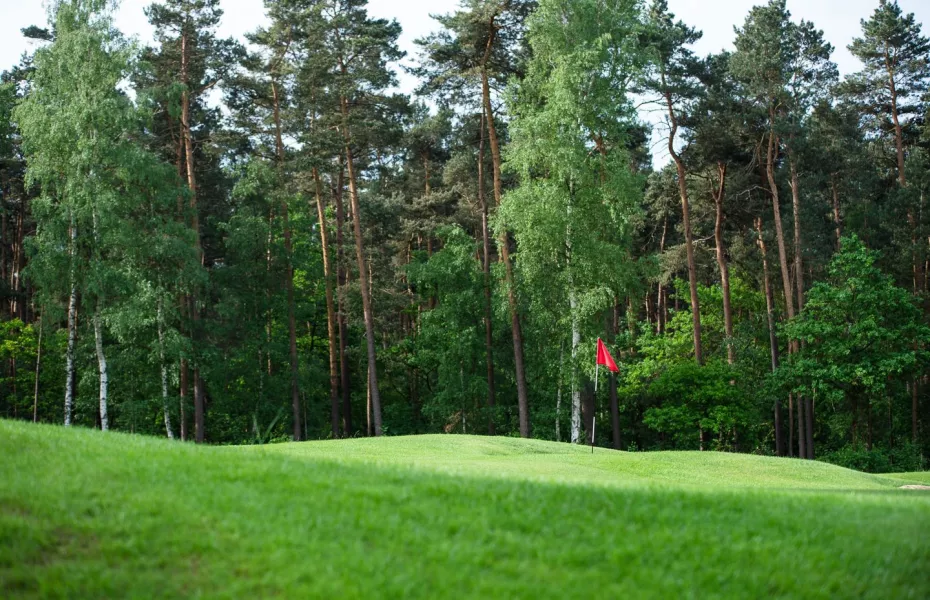 Burgdorfer GC - Short: #1