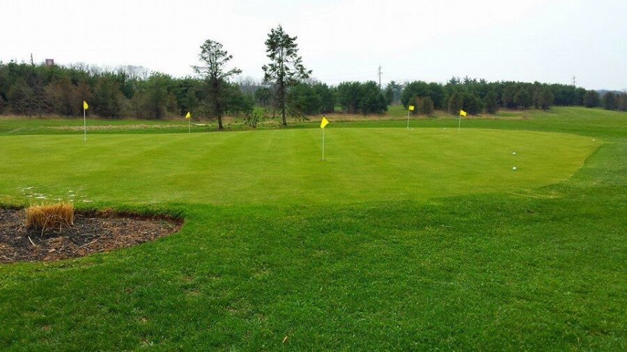 Hamlin GC: Putting