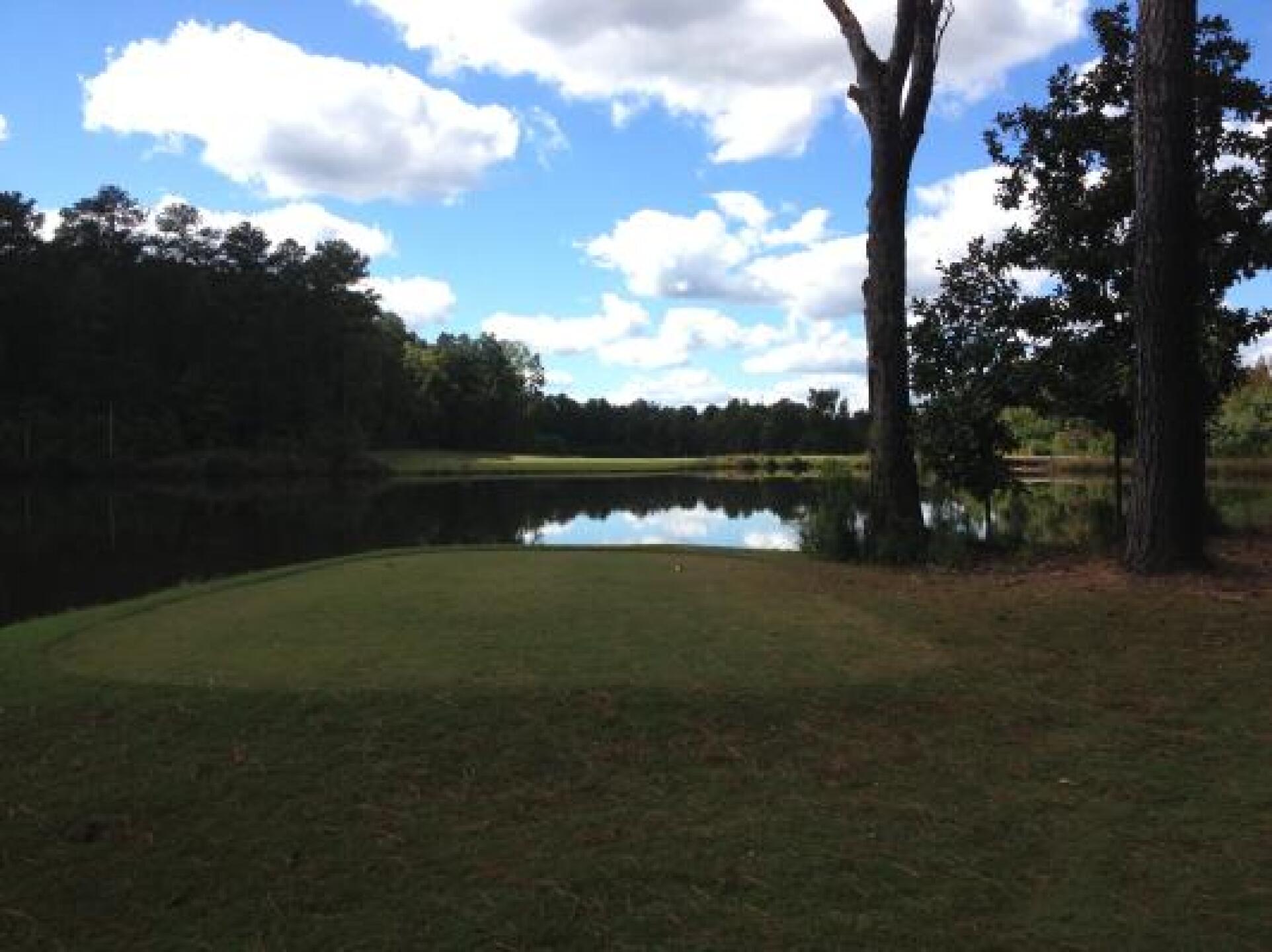 (Photo submitted by tastegw on 09/23/2013)