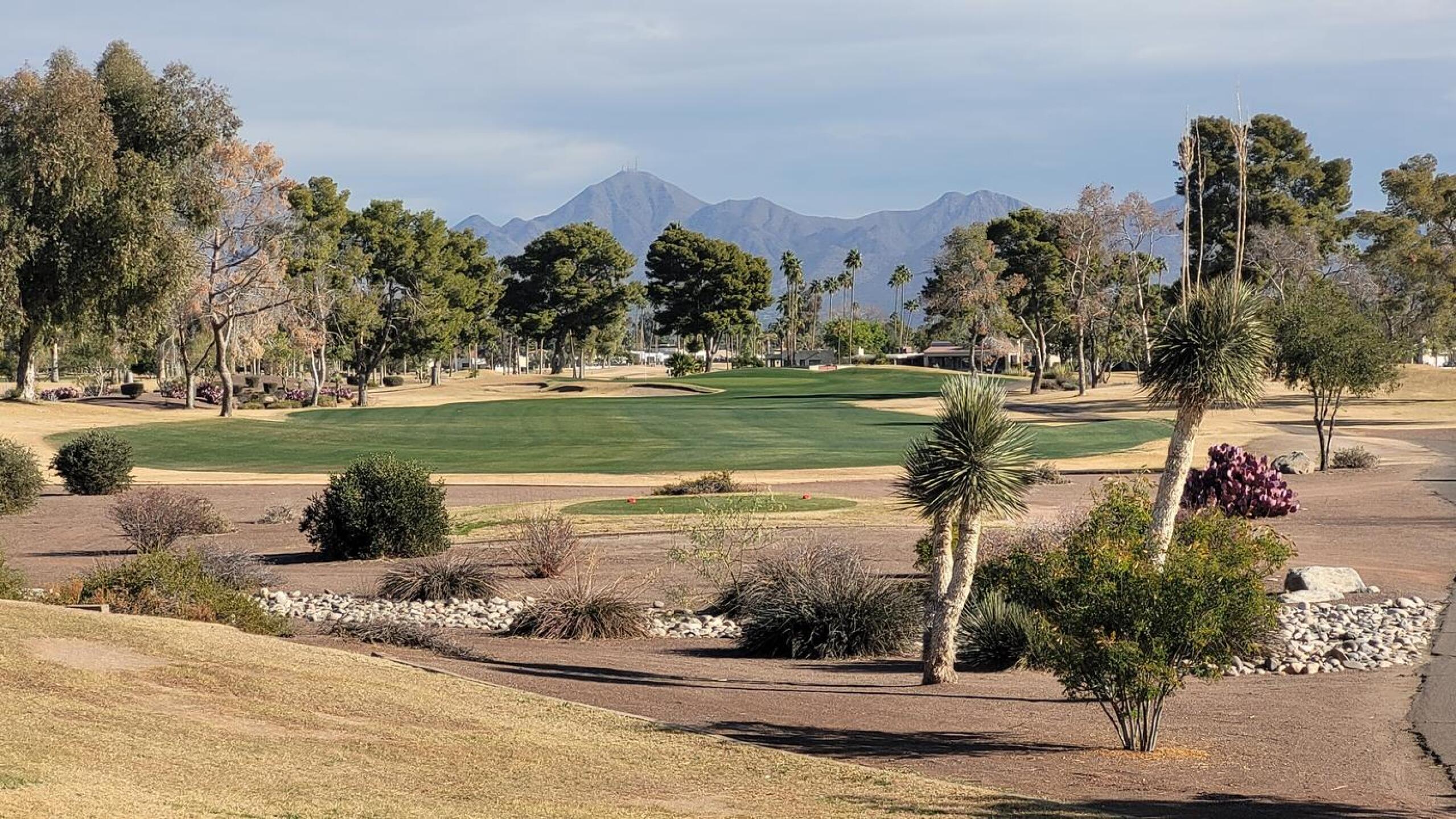 (Photo submitted by jmtwocool on 01/18/2025)