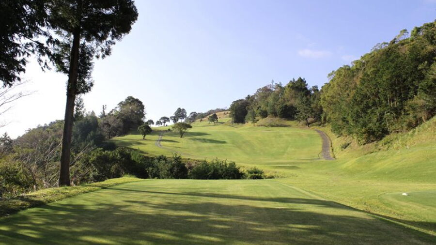 Nihon Diamond GC: #6