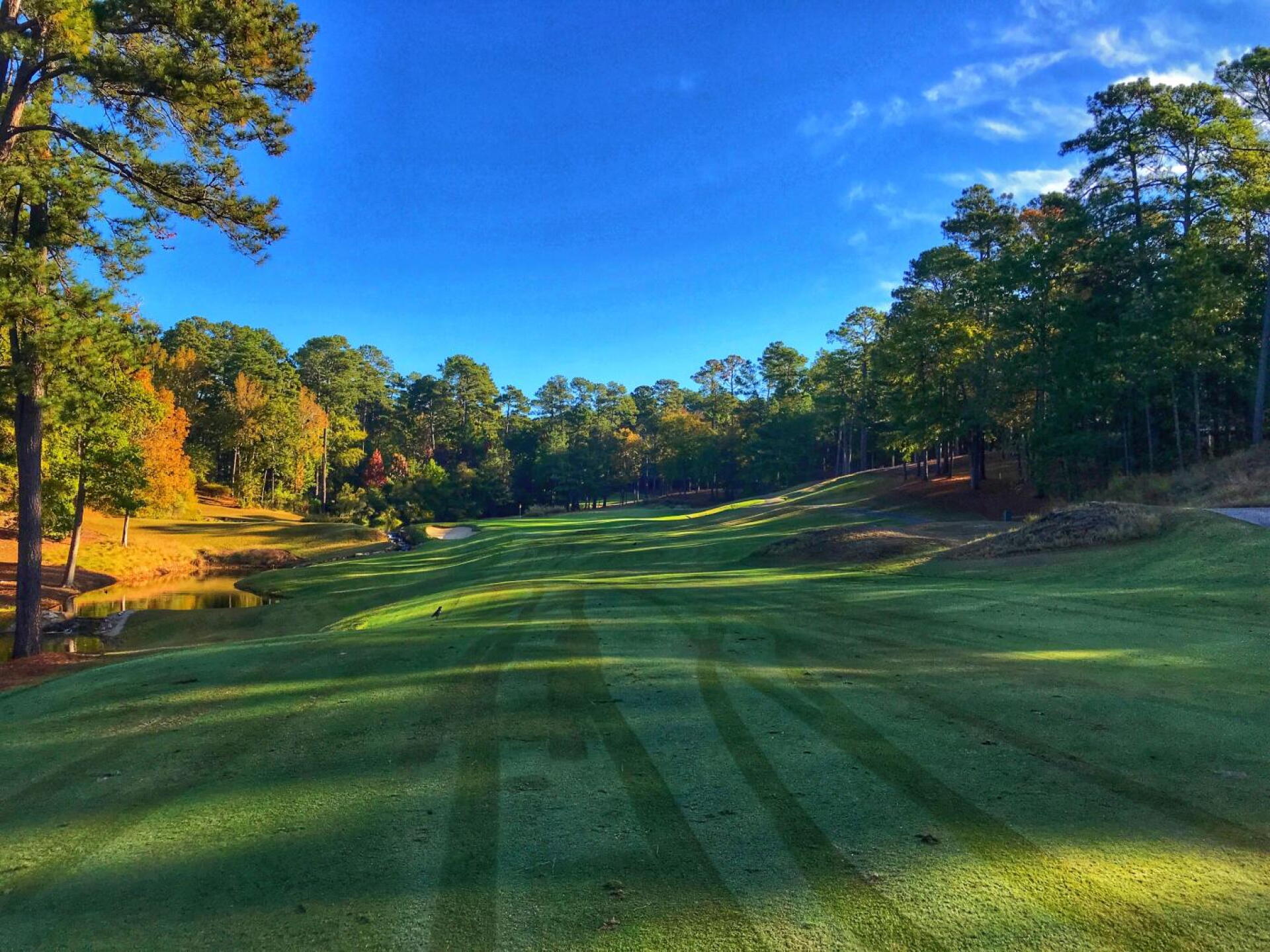 Reynolds Lake Oconee (The Preserve), hole 12 (Photo submitted by TimGavrichGP on 12/06/2019)
