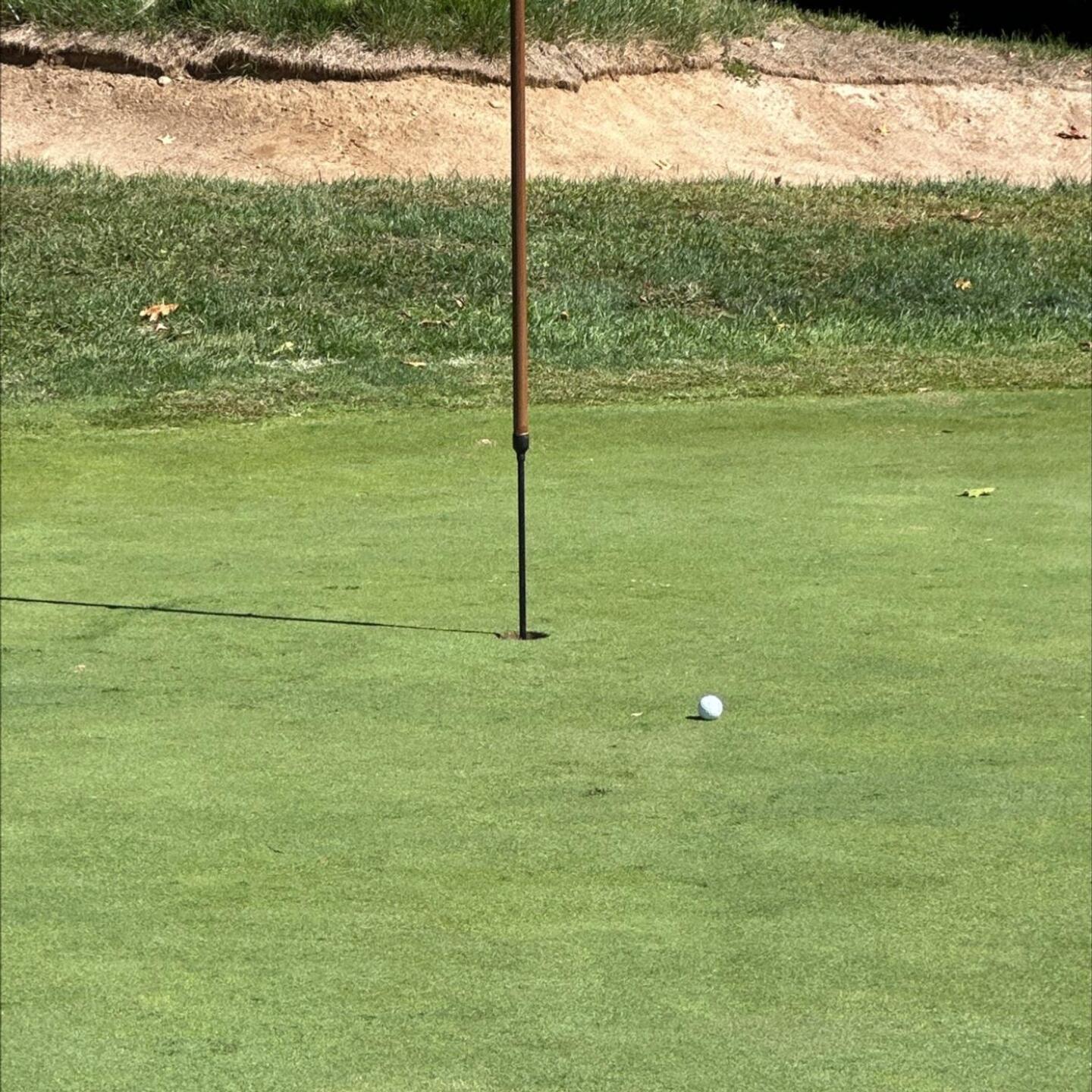 Tweet tweet (Photo submitted by u00000445959 on 09/24/2022)